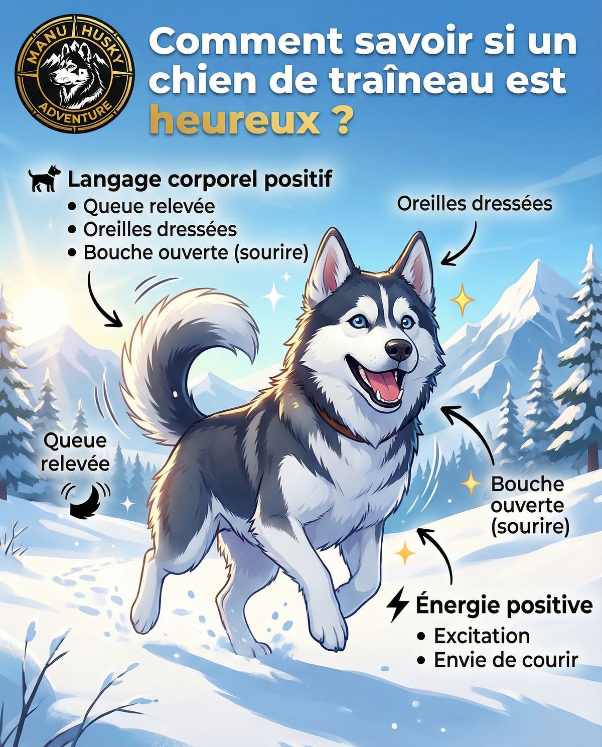 Manu Husky Adventure