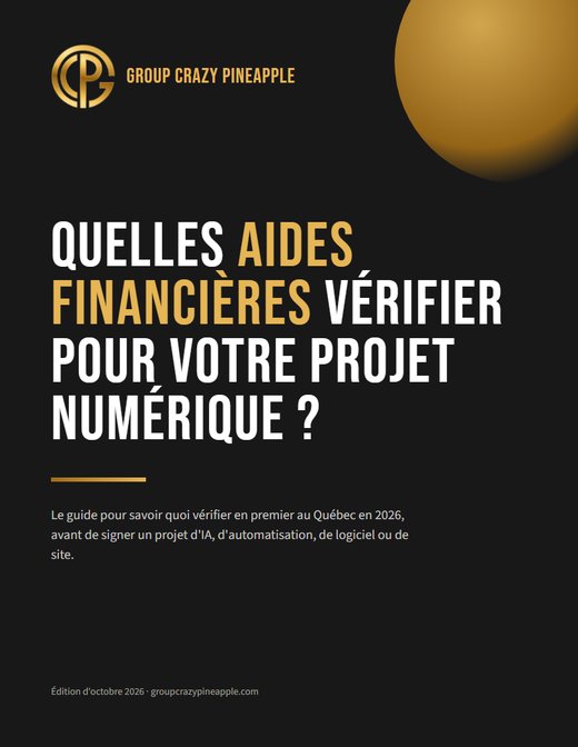 Quelles aides financières vérifier pour un projet numérique ? Le questionnaire et le guide